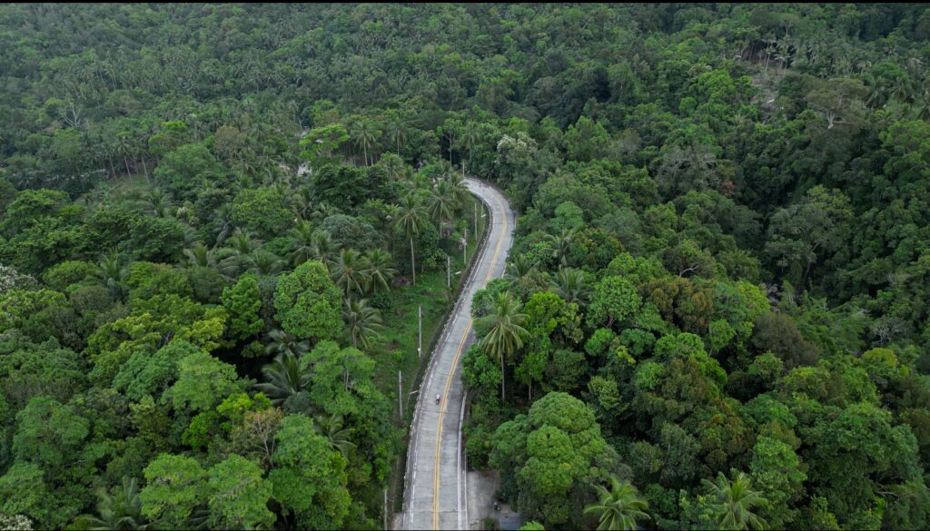 caminos rodeado de bosque en Kho phangan - Tailandia